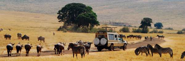 viaggi e safari